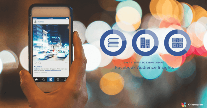 Using Facebook Audience Insights to Find Strategic Partners on Instagram