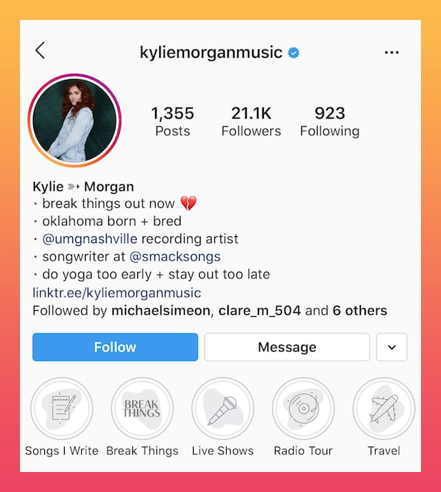 good Instagram bios media and music example