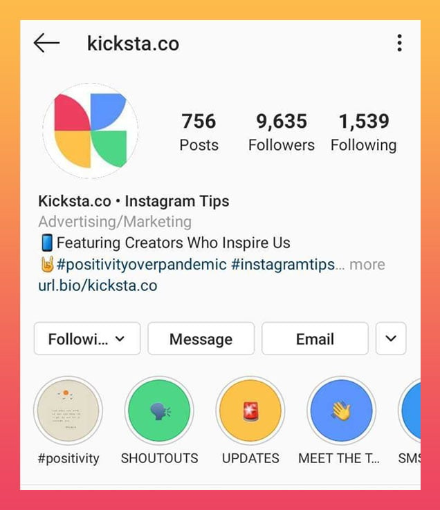 Sample of Instagram bio with a special link generated by a link-in-bio tool that allows linking to multiple pages through one URL