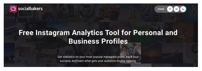 instagram analytics for free