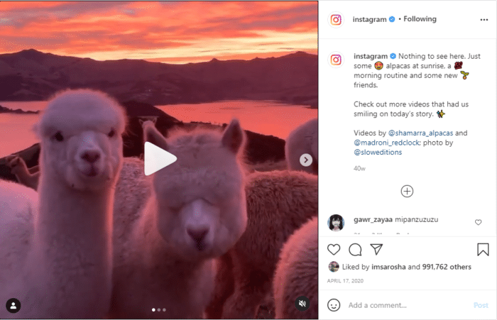 Carousel Instagram video photo size for instagram
