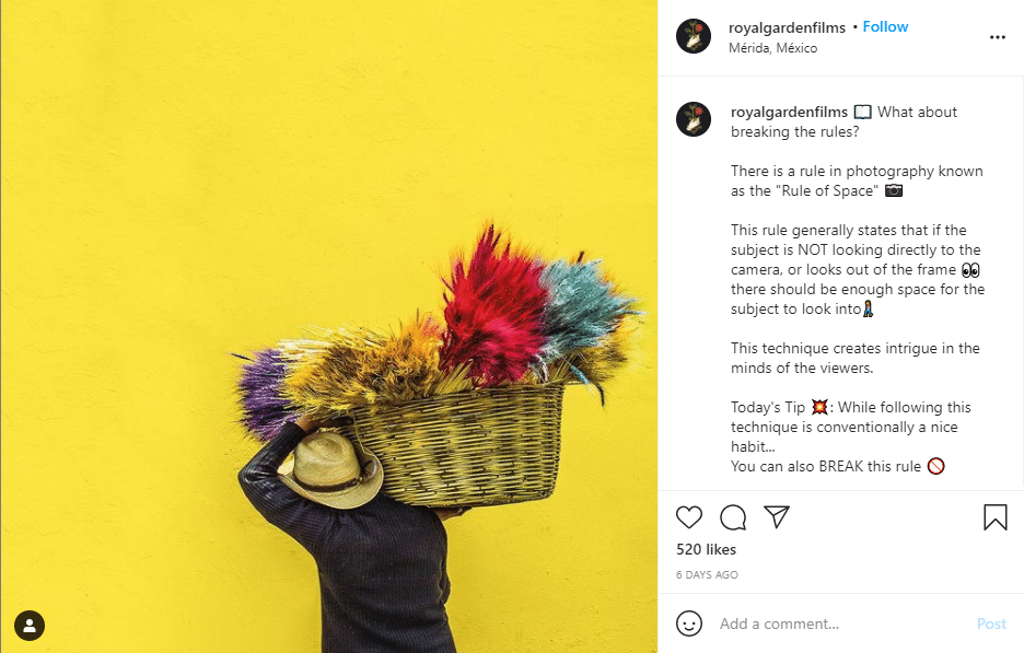 99 Best Photography Hashtags You Can Use Today