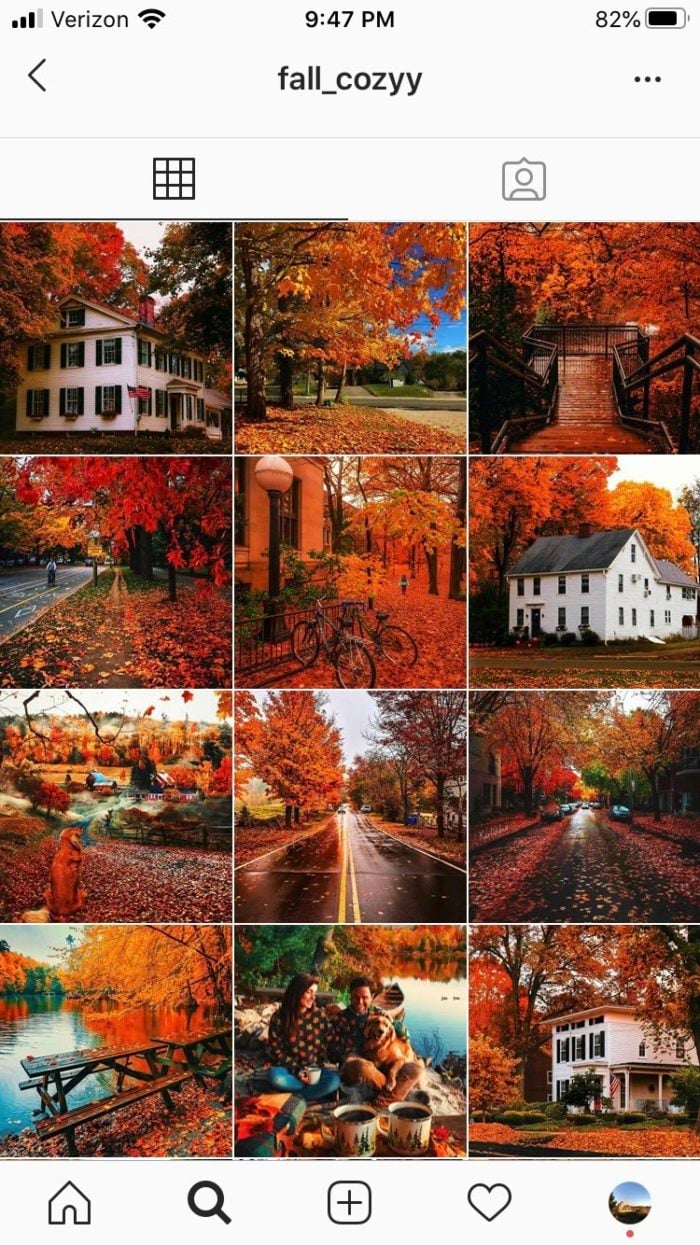 Thematic Instagram grid showing photos of fall