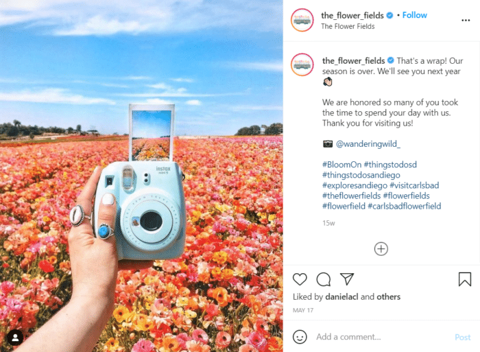 flower fields instagram photos