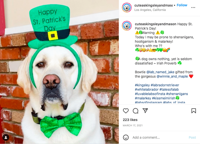 St. Patrick's Day Instagram Caption