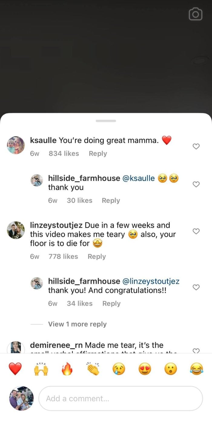 instagram reel comments section from hillside_farmhouse