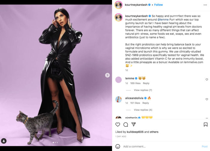 Kourtney Kardashian posing with cat for Lemme partnership