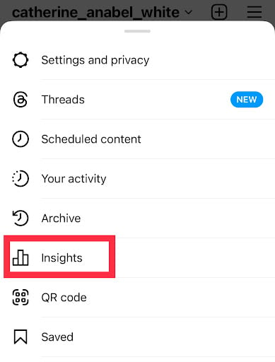 Instagram screenshot of Insights