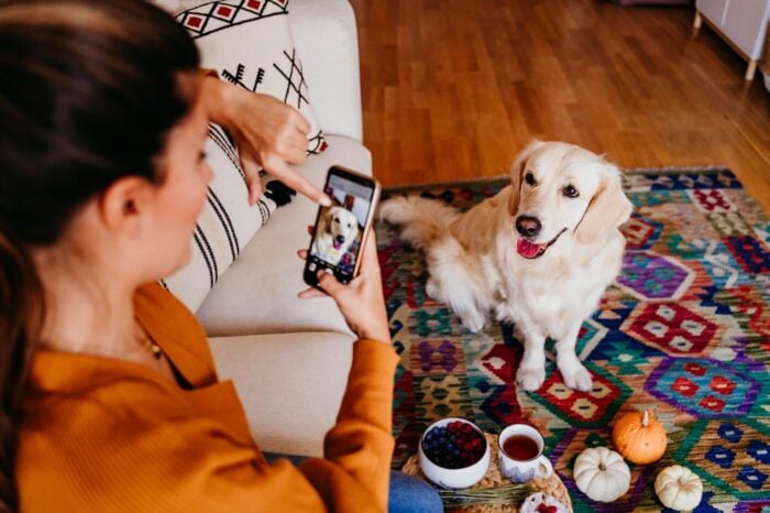 Woman taking picture of her dog to post on Instagram