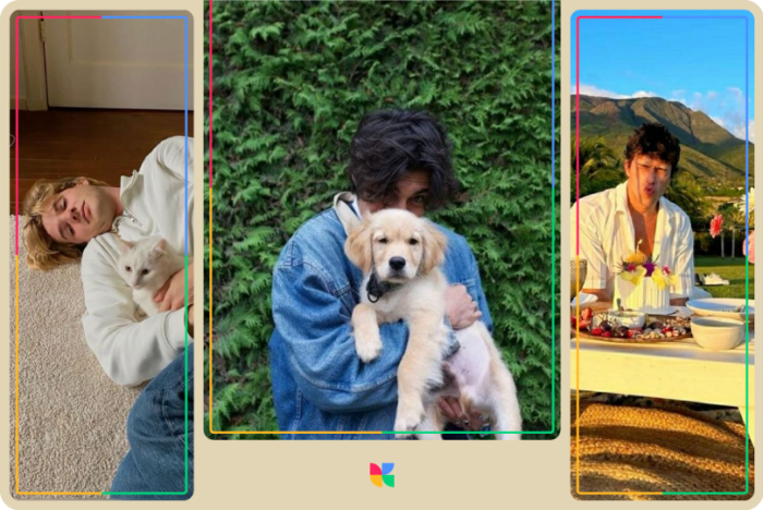 boy holding a golden retriever, and cat.