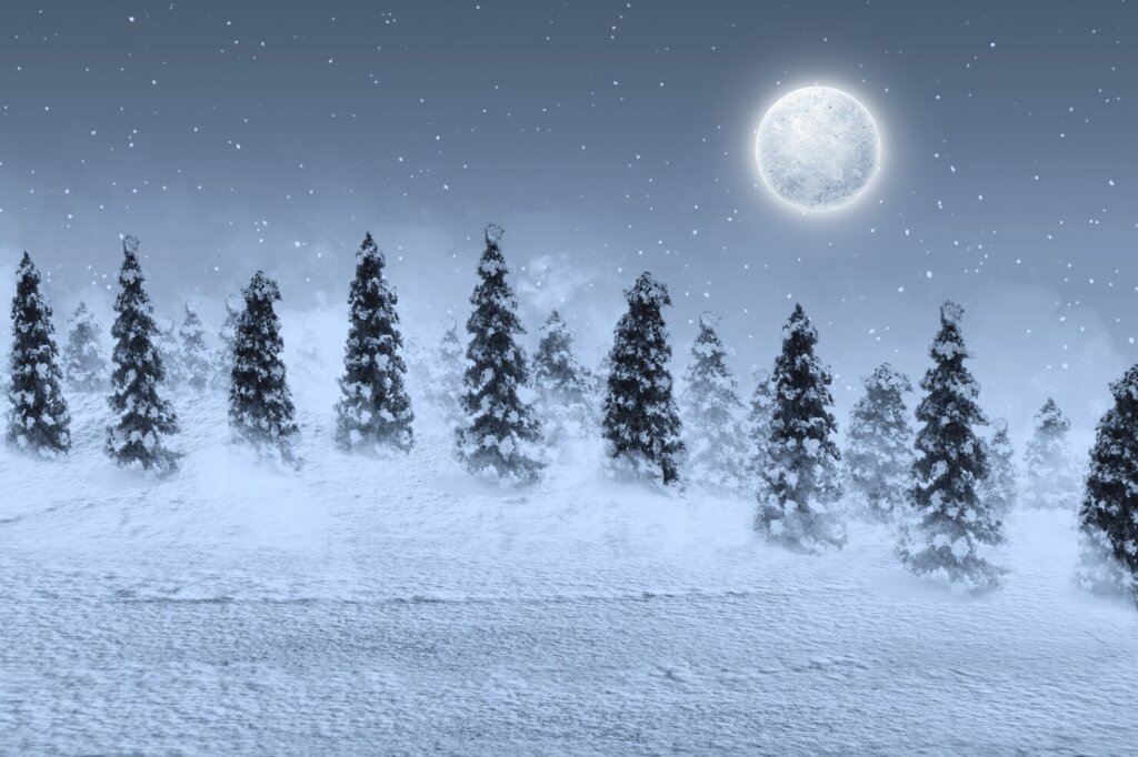 Beautiful winter wonderland with a full moon