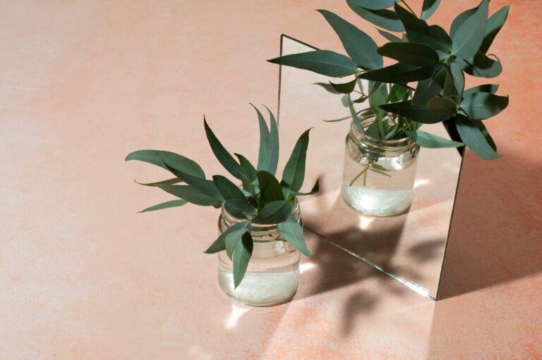 Minimalist aesthetic of a plant in front of a mirror