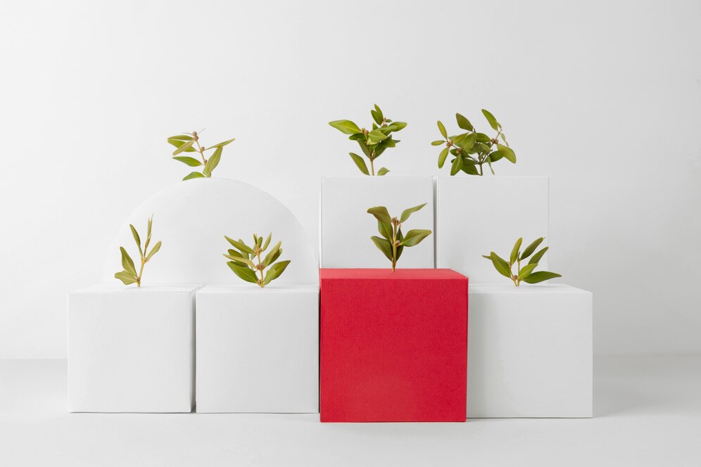 creativity and growth with plants